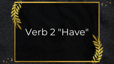Verb 2 "Have"